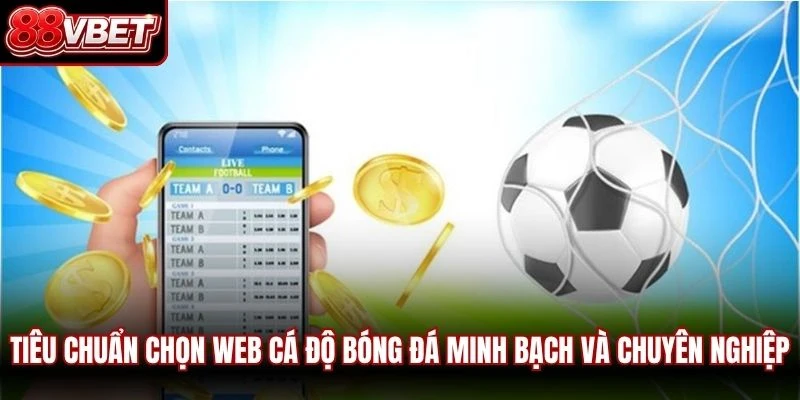 Tiêu chuẩn chọn web cá độ bóng đá minh bạch và chuyên nghiệp